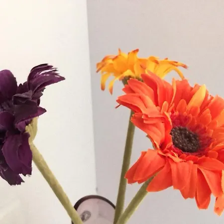 Casa Joca Pueblo Benalmádena